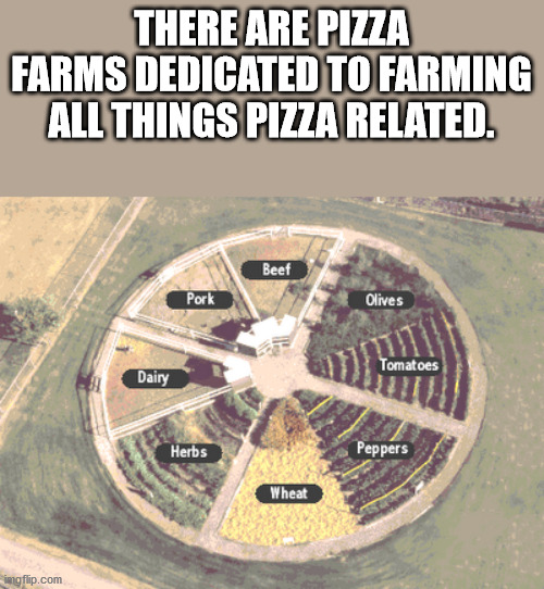 pizza farm - There Are Pizza Farms Dedicated To Farming All Things Pizza Related. Beef Olives Tomatoes Dairy Herbs Peppers Wheat ingflip.com