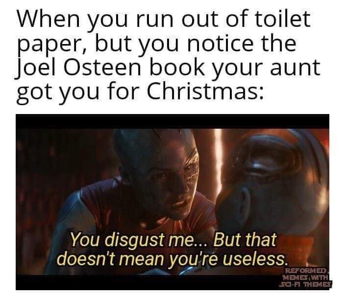 photo caption - When you run out of toilet paper, but you notice the joel Osteen book your aunt got you for Christmas You disgust me... But that doesn't mean you're useless. Reformed Memeswth SciFi Themes