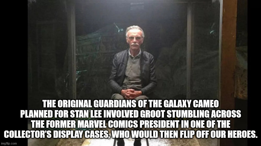 desi talk - The Original Guardians Of The Galaxy Cameo Planned For Stan Lee Involved Groot Stumbling Across The Former Marvel Comics President In One Of The Collector'S Display Cases Who Would Then Flip Off Our Heroes. imgflip.com