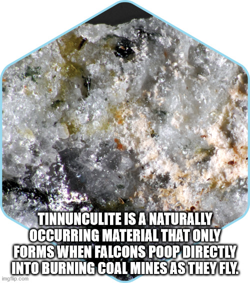 crystal - Tinnunculite Is A Naturally Occurring Material That Only Forms When Falcons Poop Directly Into Burning Coal Mines As They Fly imgflip.com