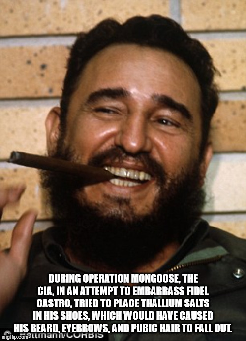 fidel castro nicknames - During Operation Mongoose, The Cia. In An Attempt To Embarrass Fidel Castro. Tried To Place Thallium Salts In His Shoes, Which Would Have Caused His Beard Eyebrows And Pubic Hair To Fall Out imgflip.com llmannCorbis