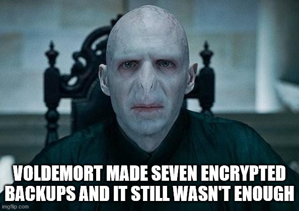 lord voldemort memes - Voldemort Made Seven Encrypted Backups And It Still Wasn'T Enough imgflip.com