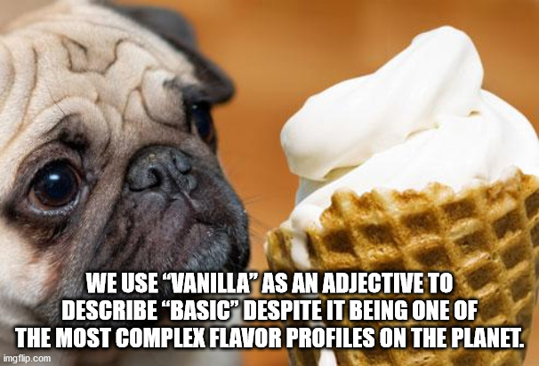 dog eating ice cream - We Use "Vanillapas An Adjective To Describe Basic" Despite It Being One Of The Most Complex Flavor Profiles On The Planet. imgflip.com