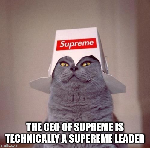 shortypop - Supreme The Ceo Of Supreme Is Technically A Supereme Leader imgflip.com