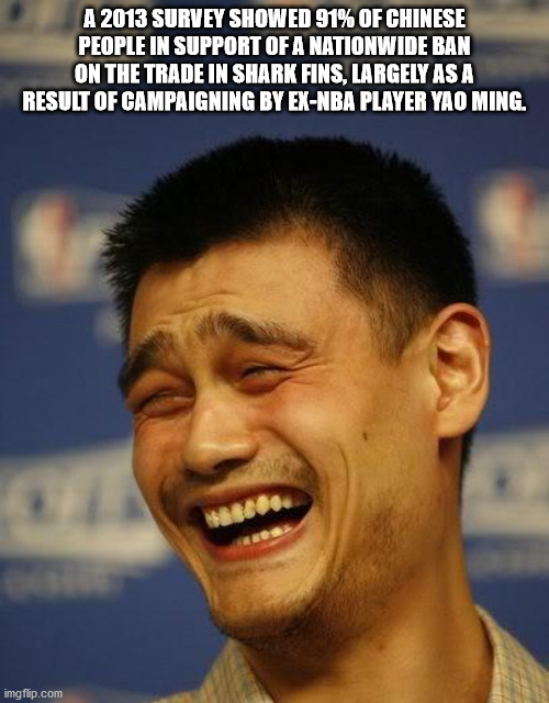 yao ming meme - A 2013 Survey Showed 91% Of Chinese People In Support Of A Nationwide Ban On The Trade In Shark Fins, Largely As A Result Of Campaigning By ExNba Player Yao Ming. imgflip.com