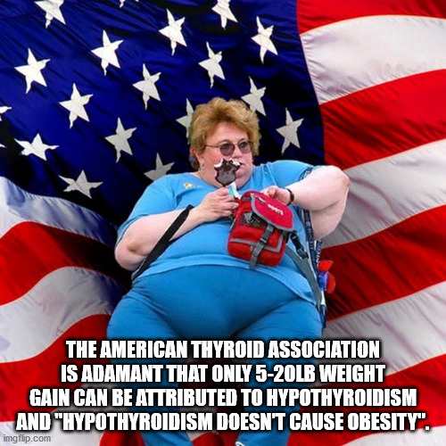 american flag - The American Thyroid Association Is Adamant That Only 520LB Weight Gain Can Be Attributed To Hypothyroidism And "Hypothyroidism Doesnt Cause Obesity". imgflip.com