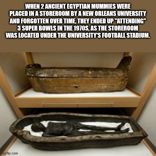 plumbing fixture - When 2 Ancient Egyptian Mummies Were Placed In A Storeroom By A New Orleans University And Forgotten Over Time, They Ended Up "Attending" 3 Super Bowls In The 1970S, As The Storeroom Was Located Under The University'S Football Stadium. 