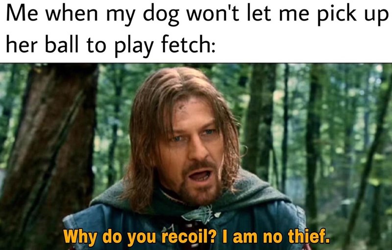 lotr memes - Me when my dog won't let me pick up her ball to play fetch Why do you recoil? I am no thief.