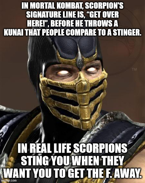 mortal kombat scorpion - In Mortal Kombat, Scorpion'S Signature Line Is, Get Over Here!", Before He Throws A Kunai That People Compare To A Stinger. In Real Life Scorpions Sting You When They Want You To Get The F. Away. imtip.com