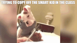 memes de te haces la mensa - Trying To Copy Off The Smart Kid In The Class