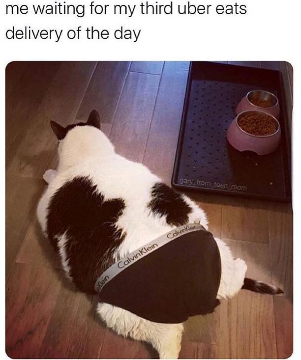saturday afternoon funny - me waiting for my third uber eats delivery of the day gary_from_teen_mom Cal Com Calvin Klein Klein