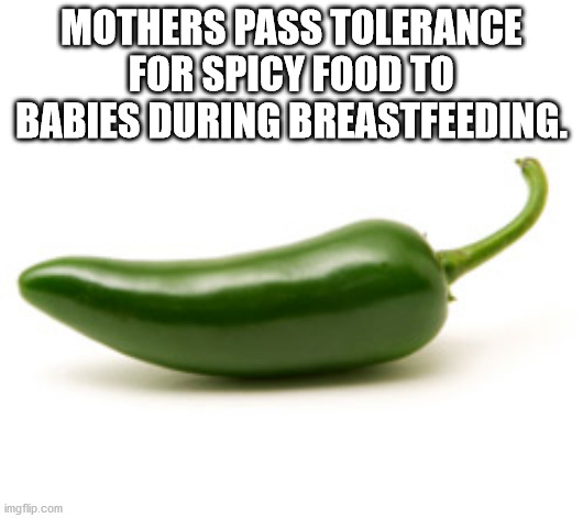 Mothers Pass Tolerance For Spicy Food To Babies During Breastfeeding.