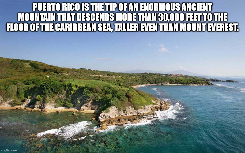 Puerto Rico Is The Tip Of An Enormous Ancient Mountain That Descends More Than 30,000 Feet To The Floor Of The Caribbean Sea, Taller Even Than Mount Everest.