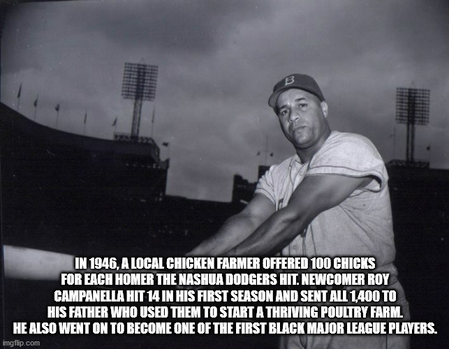 In 1946, A Local Chicken Farmer Offered 100 Chicks For Each Homer The Nashua Dodgers Hit. Newcomer Roy Campanella Hit 14 In His First Season And Sent All 1,400 To His Father Who Used Them To Start A Thriving Poultry Farm. He Also Went On to become one of