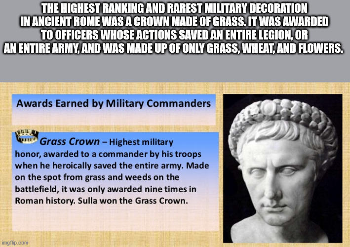 The Highest Ranking And Rarest Military Decoration In Ancient Rome Was A Crown Made Of Grass. It Was Awarded To Officers Whose Actions Saved An Entire Legion Or An Entire Army And Was Made Up Of Only Grass. Wheat, And Flowers