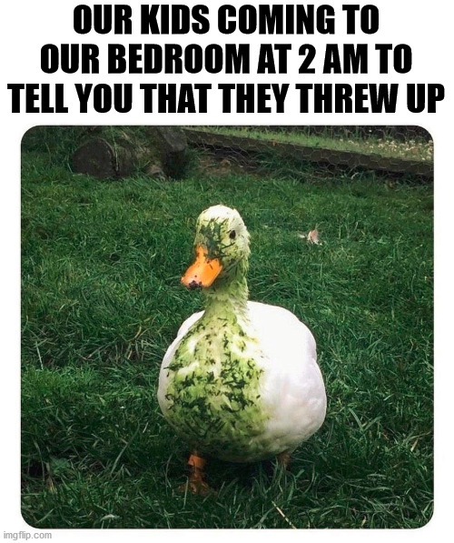 duck - Our Kids Coming To Our Bedroom At 2 Am To Tell You That They Threw Up imgflip.com