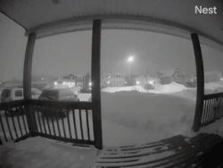 newfoundland snow time lapse - Nest
