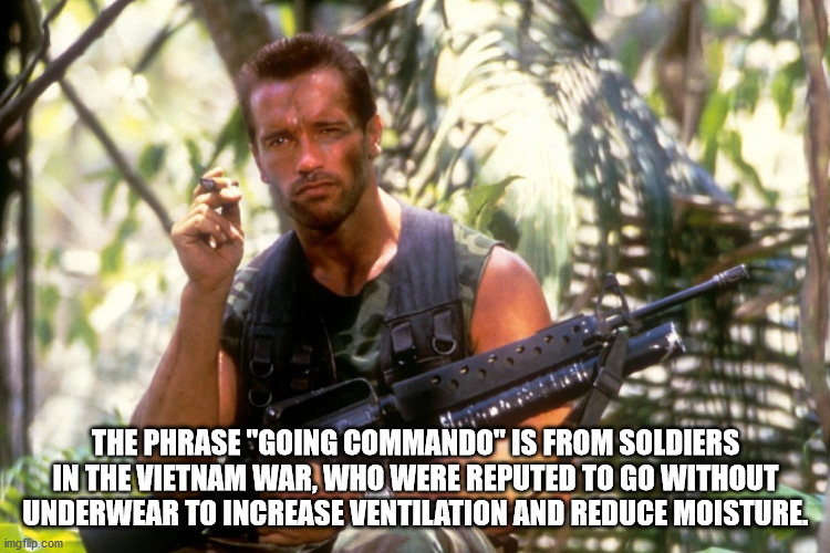 predator schwarzenegger - The Phrase "Going Commando" Is From Soldiers In The Vietnam War, Who Were Reputed To Go Without Underwear To Increase Ventilation And Reduce Moisture imgflip.com