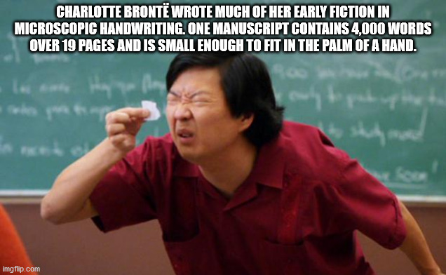 ants meme - Charlotte Bronte Wrote Much Of Her Early Fiction In Microscopic Handwriting. One Manuscript Contains 4,000 Words Over 19 Pages And Is Small Enough To Fit In The Palm Of A Hand. imgflip.com