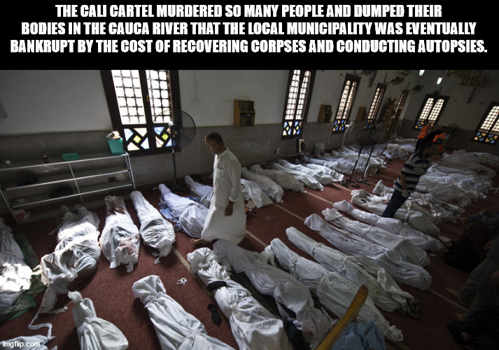 The Cali Cartel Murdered So Many People And Dumped Their Bodies In The Cauca River That The Local Municipality Was Eventually Bankrupt By The Cost Of Recovering Corpses And Conducting Autopsies. Hodes Here to to room was Hale imgflip.com