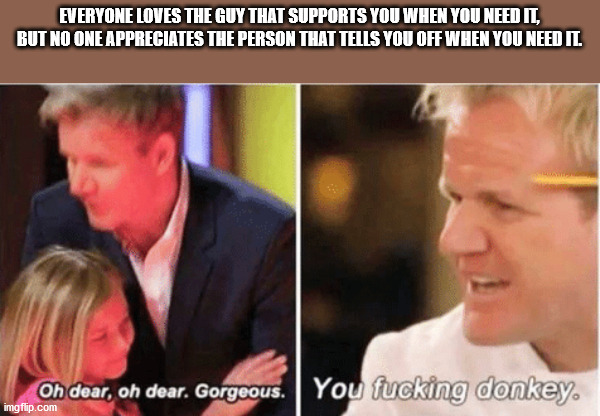 gordon ramsay with kids vs adults meme - Everyone Loves The Guy That Supports You When You Need It, But No One Appreciates The Person That Tells You Off When You Need Il Oh dear, oh dear. Gorgeous. You fucking donkey. imgflip.com