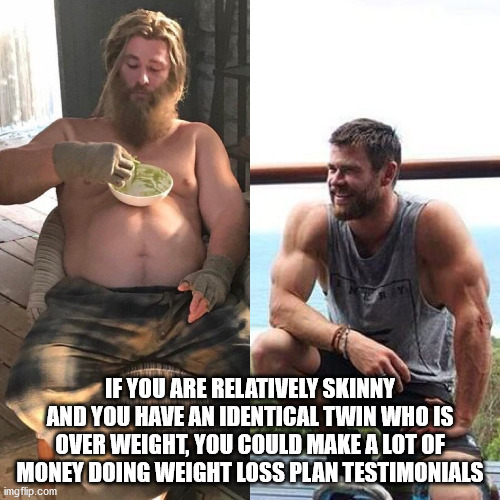 meme fat to fit - If You Are Relatively Skinny And You Have An Identical Twin Who Is Over Weight, You Could Make A Lot Of Money Doing Weight Loss Plan Testimonials imgflip.com
