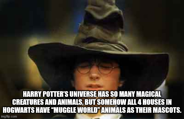 harry potter sorting hat - Harry Potter'S Universe Has So Many Magical Creatures And Animals, But Somehow All 4 Houses In Hogwarts Have "Muggle World' Animals As Their Mascots. imgflip.com