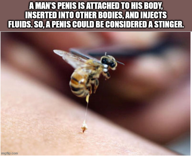 bee stings - A Man'S Penis Is Attached To His Body, Inserted Into Other Bodies, And Injects Fluids. So, A Penis Could Be Considered A Stinger. imgflip.com