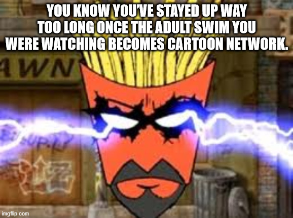 aqua teen hunger force frylock - You Know You'Ve Stayed Up Way Too Long Once The Adult Swim You Were Watching Becomes Cartoon Network. 4 Wn imgflip.com