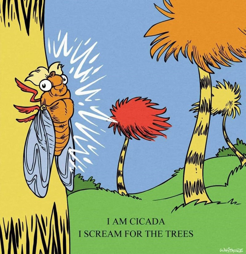 cicada meme - I Am Cicada I Scream For The Trees WiiTMORE