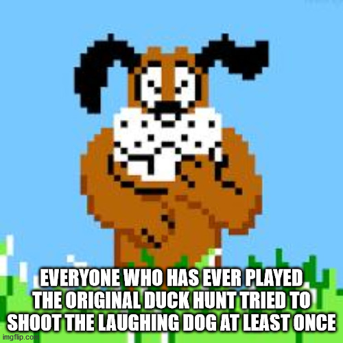 90s things india - Everyone Who Has Ever Played The Original Duck Hunt Tried To Shoot The Laughing Dog At Least Once imgflip.co