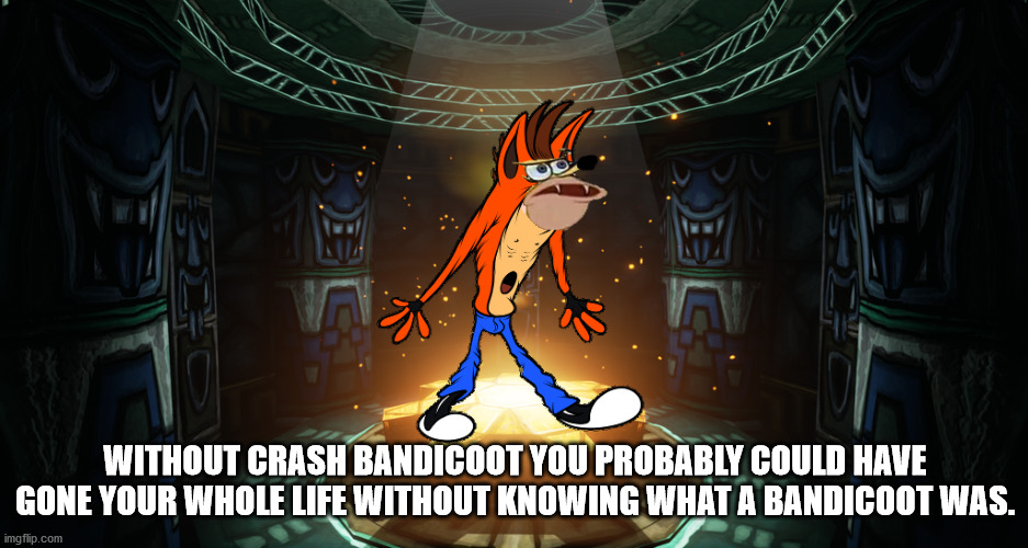 pc game - Without Crash Bandicoot You Probably Could Have Gone Your Whole Life Without Knowing What A Bandicoot Was. imgflip.com