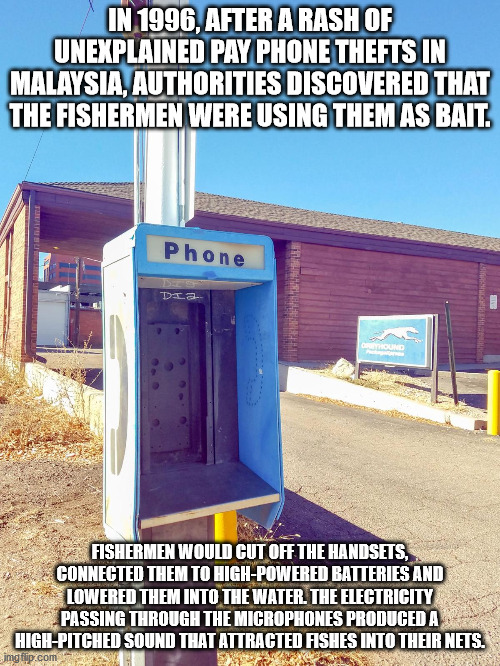 In 1996, After A Rash Of Unexplained Pay Phone Thefts In Malaysia, Authorities Discovered That The Fishermen Were Using Them As Bait. Fishermen Would Cut Off The Handsets, Connected Them To HighPowered Batteries And Lowered them into the water. The electr