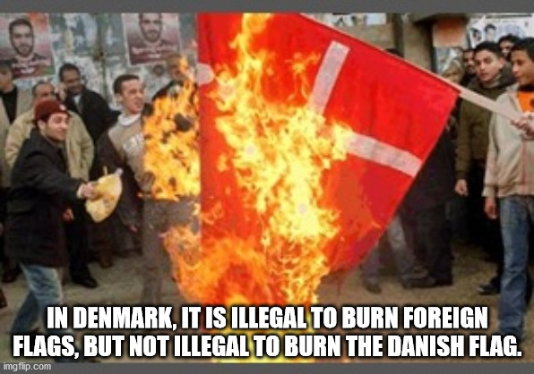 In Denmark, It Is Illegal To Burn Foreign Flags, But Not Illegal To Burn The Danish Flag.