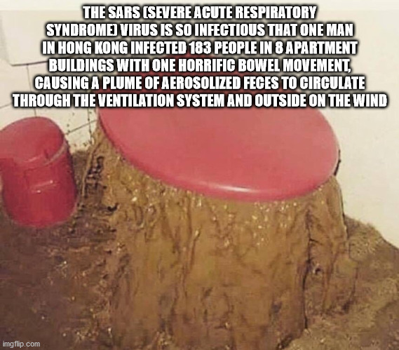 chair - The Sars Severe Acute Respiratory Syndromej Virus Is So Infectious That One Man In Hong Kong Infected 183 People In 8 Apartment Buildings With One Horrific Bowel Movement, Causing A Plume Of Aerosolized Feces To Circulate Through The Ventilation S