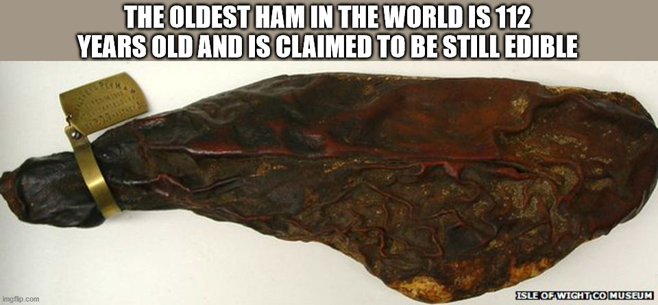 tu maldita madre - The Oldest Ham In The World Is 112 Years Old And Is Claimed To Be Still Edible imgflip.com Isle Of Wightco Museum