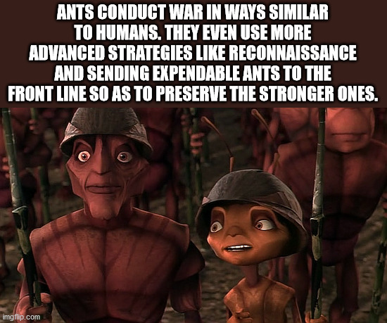 antz characters - Ants Conduct War In Ways Similar To Humans. They Even Use More Advanced Strategies Reconnaissance And Sending Expendable Ants To The Front Line So As To Preserve The Stronger Ones. imgflip.com
