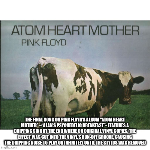 pink floyd atom heart mother - Atom Heart Mother Pink Floyd The Final Song On Pink Floyd'S Album Atom Heart Mother""Alans Psychedelic BreakfastFeatures A Dripping Sink At The End Where On Original Vinyl Copies, The Effect Was Cut Into The Vinyl'S RunOff G