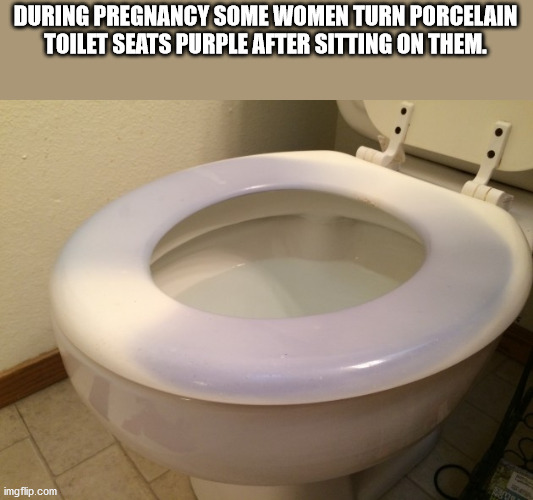 willy wonka meme - During Pregnancy Some Women Turn Porcelain Toilet Seats Purple After Sitting On Them. imgflip.com