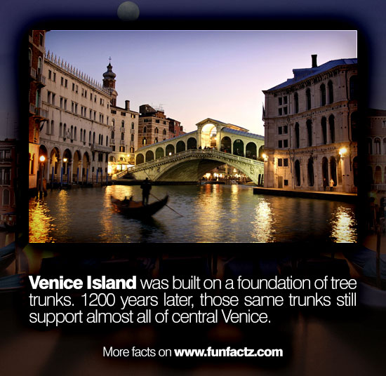 rialto bridge - Venice Island was built on a foundation of tree trunks. 1200 years later, those same trunks still support almost all of central Venice. More facts on
