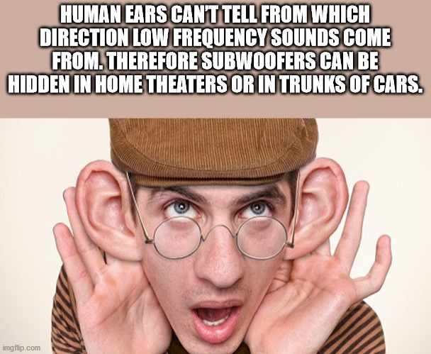 Human Ears Cant Tell From Which Direction Low Frequency Sounds Come From. Therefore Subwoofers Can Be Hidden In Home Theaters Or In Trunks Of Cars. imgflip.com