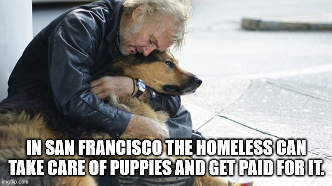 homeless people with pets - In San Francisco The Homeless Can Take Care Of Puppies And Get Paid For It. imgflip.com