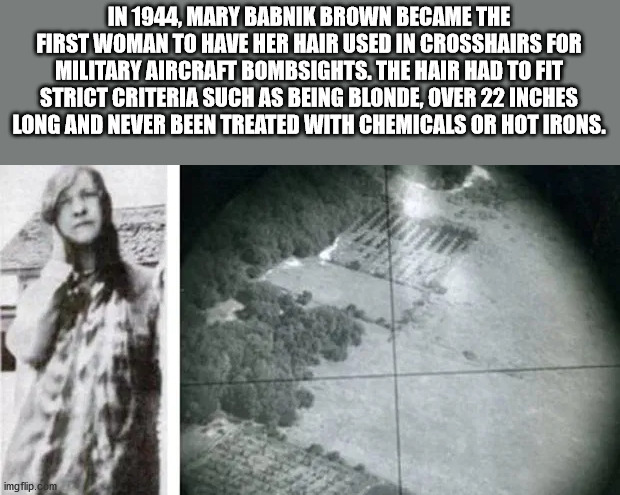 mary babnik brown - In 1944, Mary Babnik Brown Became The First Woman To Have Her Hair Used In Crosshairs For Military Aircraft Bombsights. The Hair Had To Fit Strict Criteria Such As Being Blonde, Over 22 Inches Long And Never Been Treated With Chemicals