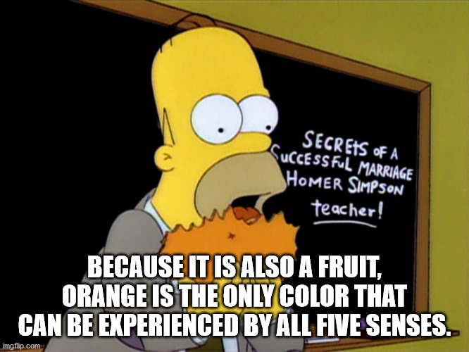 cant tell if trolling - Secrets Of A Successful Marriage Homer Simpson teacher! Because It Is Also A Fruit, Orange Is The Only Color That Can Be Experienced By All Five Senses. imgflip.com