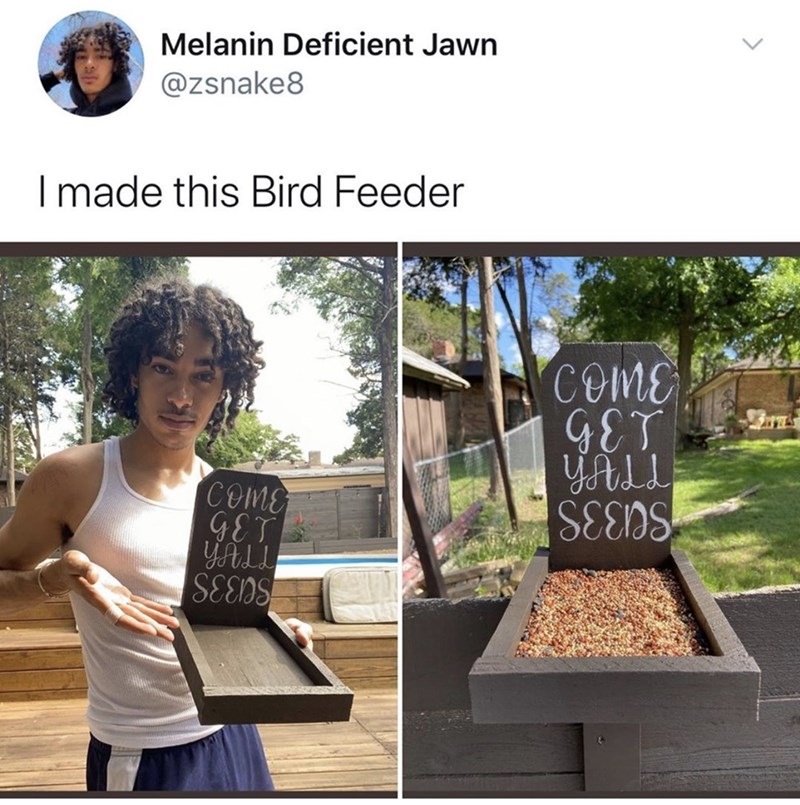 tree - Melanin Deficient Jawn 8 I made this Bird Feeder Come Get Seeds come Get Yali Seeds