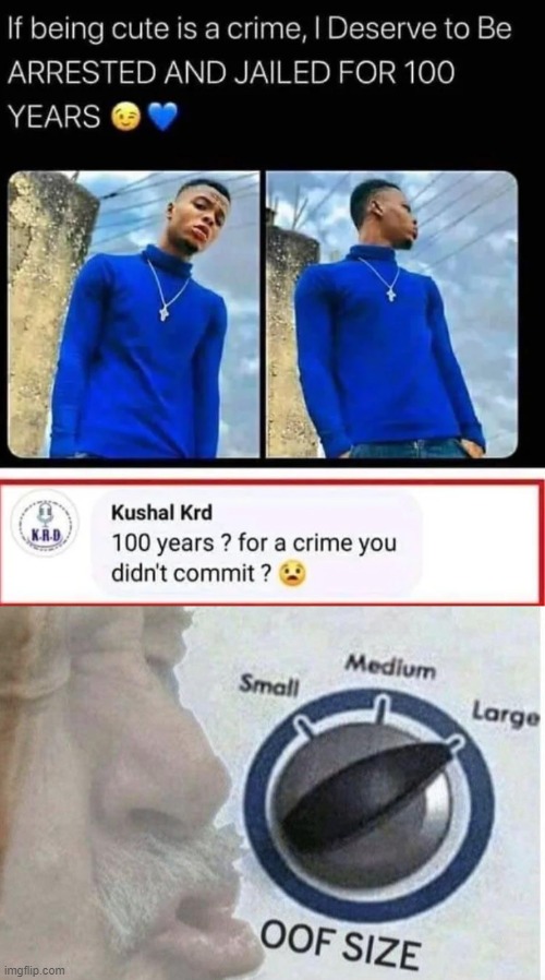 oof size large meme - If being cute is a crime, I Deserve to Be Arrested And Jailed For 100 Years Krd Kushal Krd 100 years ? for a crime you didn't commit? Medium Small Large Oof Size imgflip.com