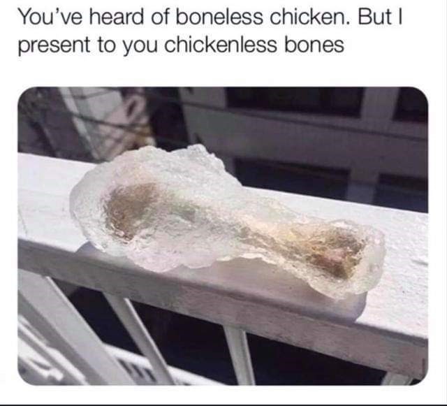 chickenless bone wing - You've heard of boneless chicken. But I present to you chickenless bones
