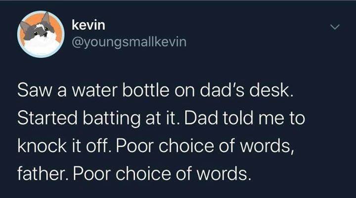 say - kevin Saw a water bottle on dad's desk. Started batting at it. Dad told me to knock it off. Poor choice of words, father. Poor choice of words.