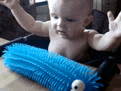 cookie monster gif baby