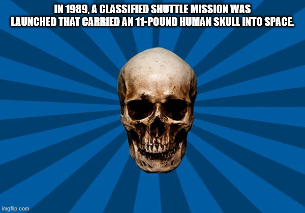 skull - In 1989, A Classified Shuttle Mission Was Launched That Carried An 11Pound Human Skull Into Space Ha imgflip.com